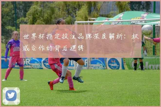 世界杯指定投注品牌深度解析：权威合作的背后逻辑