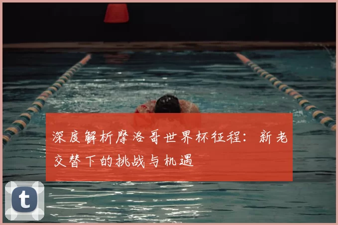 深度解析摩洛哥世界杯征程：新老交替下的挑战与机遇