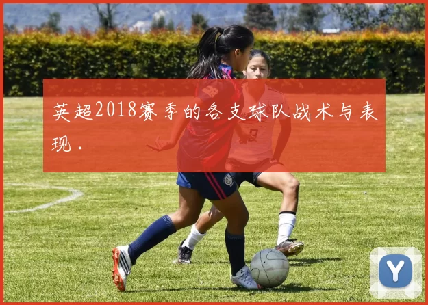 英超2018赛季的各支球队战术与表现 .
