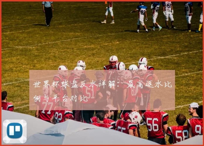世界杯球盘反水详解:最高返水比例与平台对比