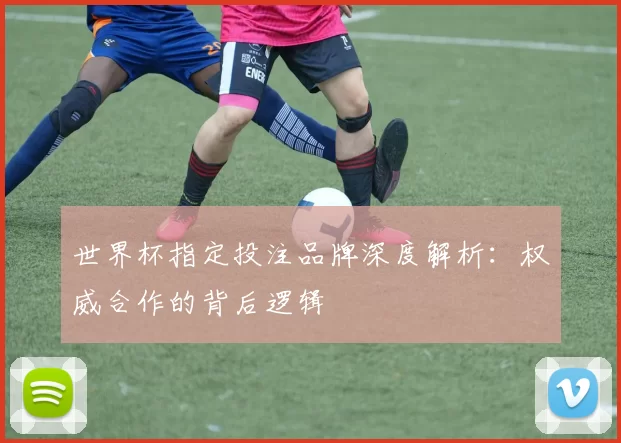 世界杯指定投注品牌深度解析:权威合作的背后逻辑