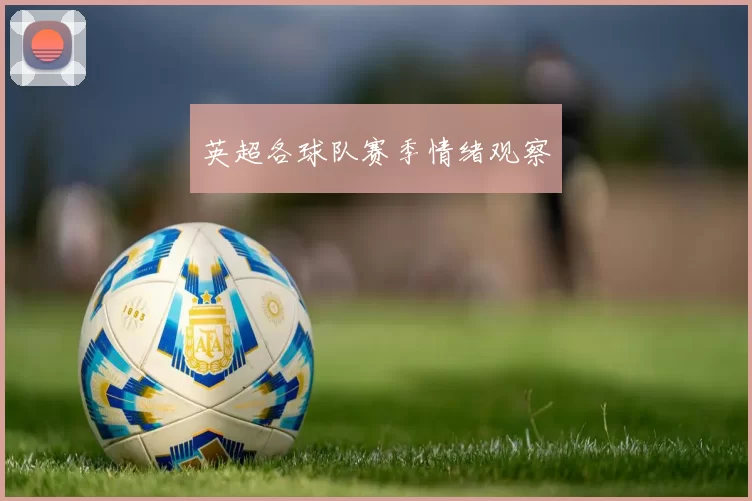 英超各球队赛季情绪观察