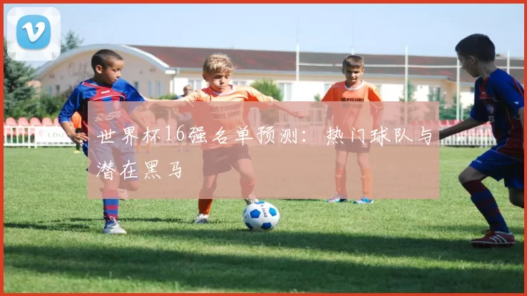 世界杯16强名单预测：热门球队与潜在黑马