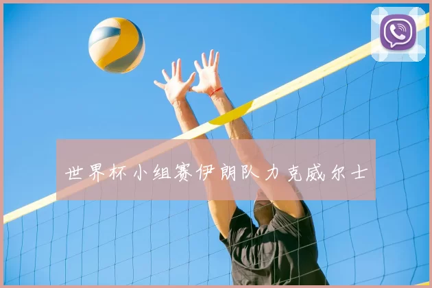 世界杯小组赛伊朗队力克威尔士
