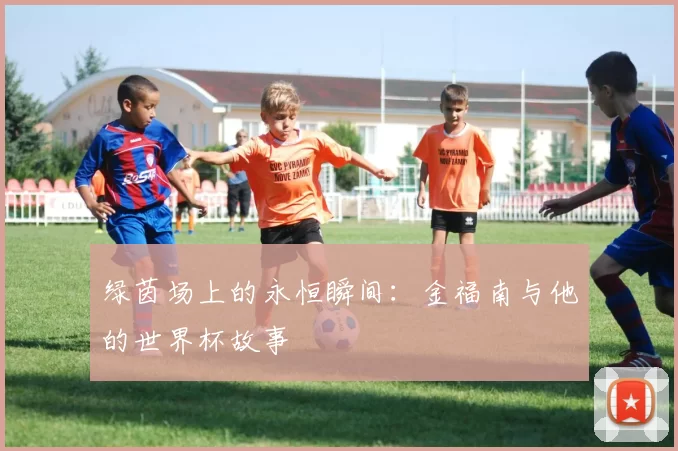 绿茵场上的永恒瞬间:金福南与他的世界杯故事