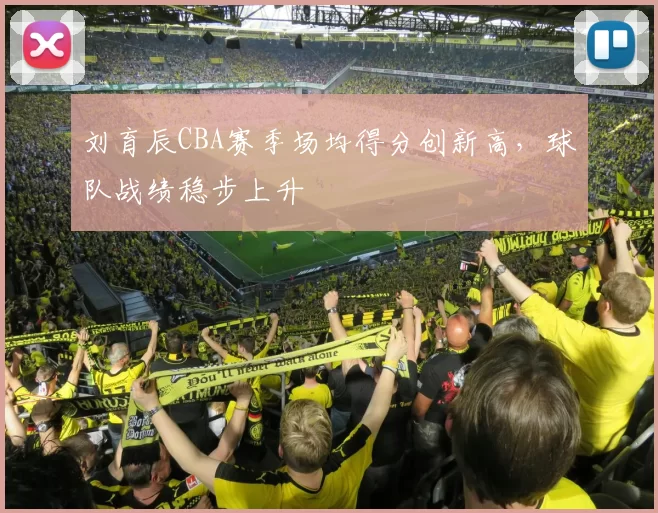 刘育辰CBA赛季场均得分创新高，球队战绩稳步上升