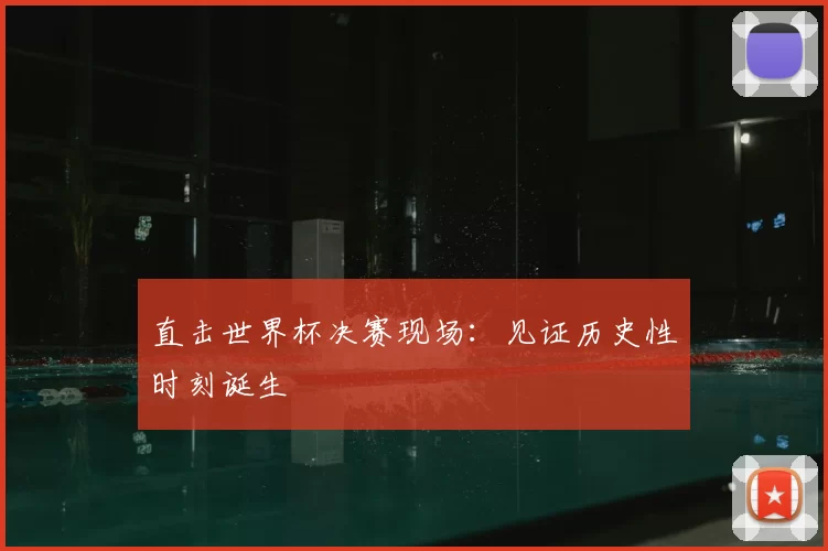 直击世界杯决赛现场：见证历史性时刻诞生