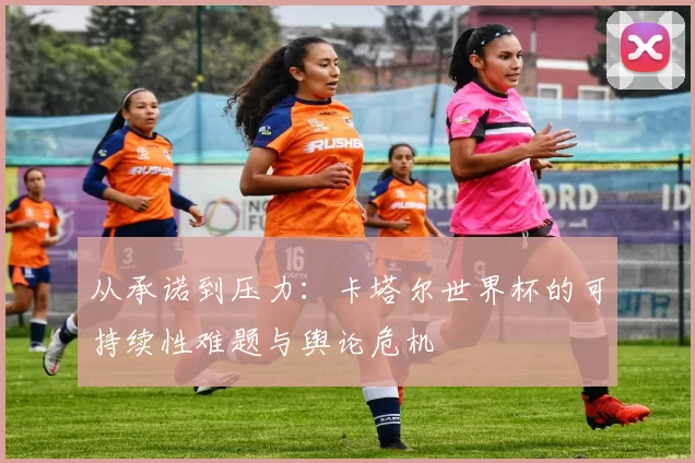 从承诺到压力：卡塔尔世界杯的可持续性难题与舆论危机