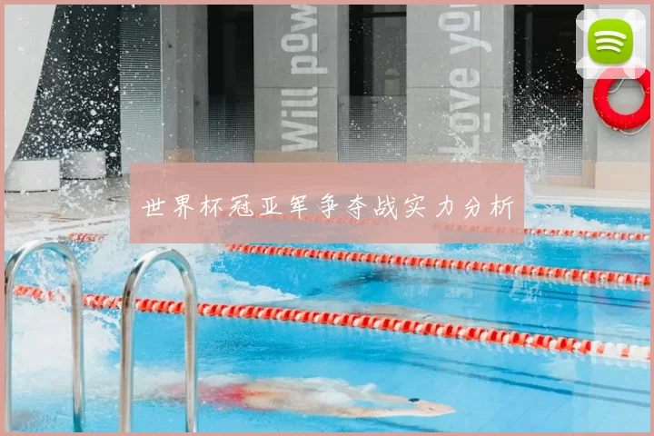 世界杯冠亚军争夺战实力分析