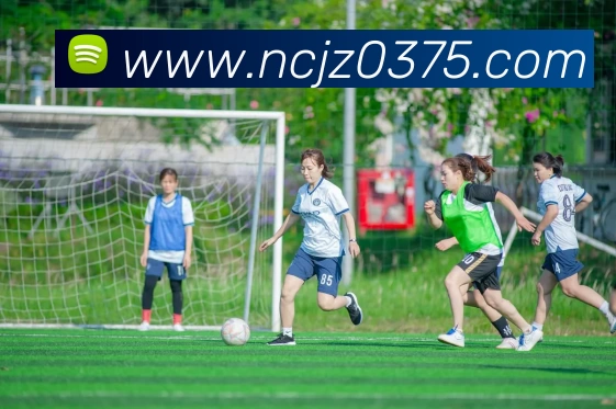 华体会体育发展历程